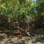 StormDamage2