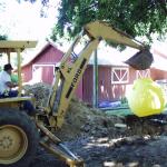 OLYMPUS DIGITAL CAMERA