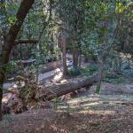 PXL 20240314 165300885