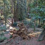 PXL 20240314 165847174