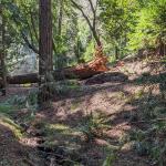 PXL 20240314 195756400