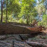 PXL 20240314 204914389