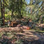 PXL 20240314 205907854