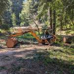 PXL 20240314 210258789