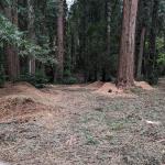 PXL 20240412 231413031