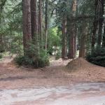 PXL 20240412 231659194